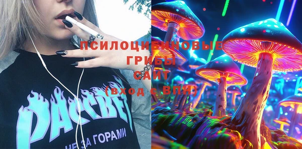 гидропоника Лагань