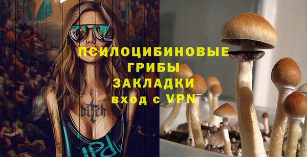гидропоника Лагань