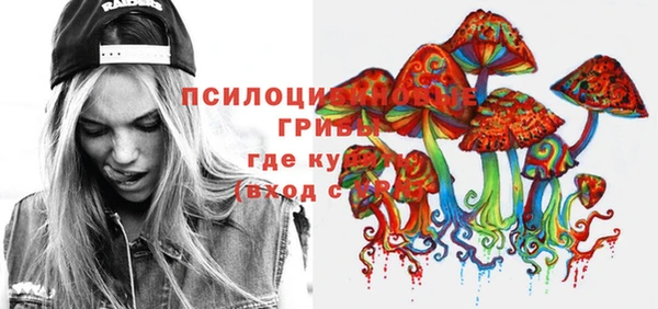 гидропоника Лагань