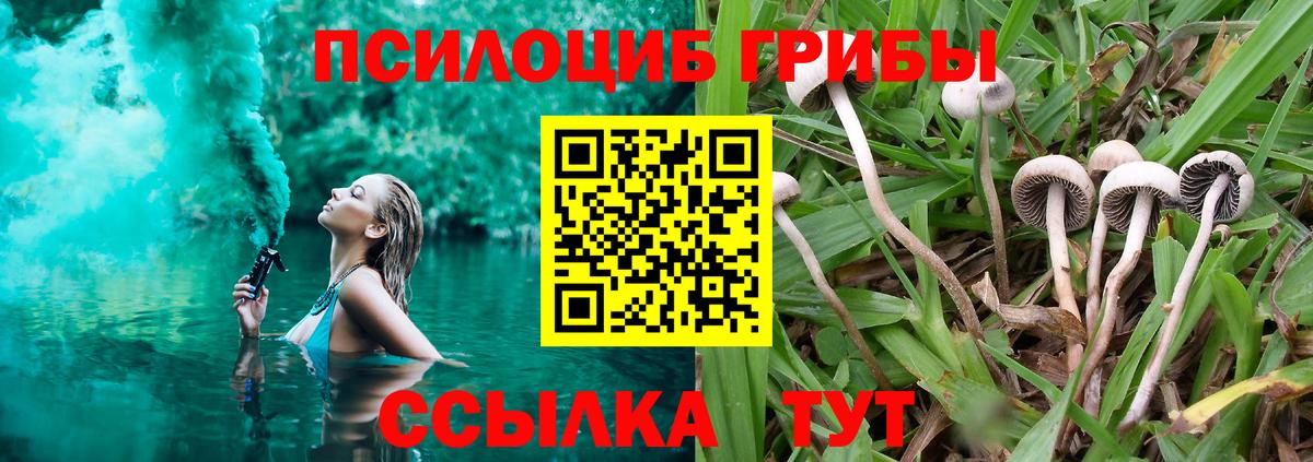Луховицы  Псилоцибиновые грибы MAGIC MUSHROOMS  Псилоцибиновые грибы MAGIC MUSHROOMS  Вход с VPN 