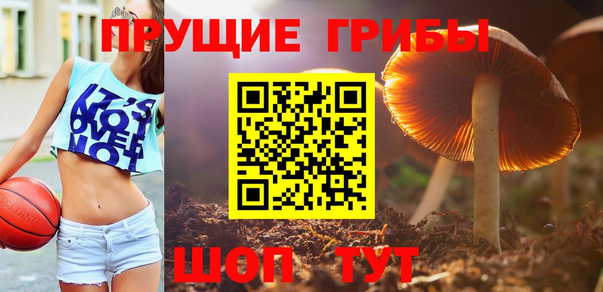 Галлюциногенные грибы Magic Shrooms Луховицы